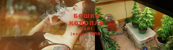 apvp Ельня