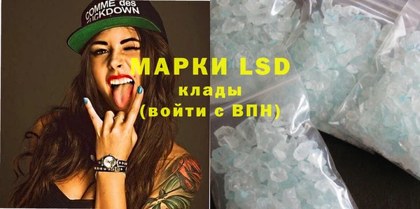 apvp Ельня