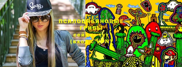 apvp Ельня