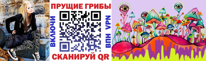 Псилоцибиновые грибы мухоморы  Купить где  Кизляр 